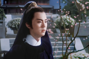 杂谈《风云第一刀》