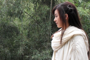 爱似流星——解读《流星·蝴蝶·剑》