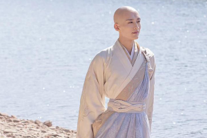 花事——小议无花（二）